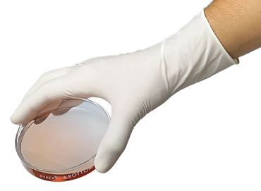 PPE and Lab Safety Latex Gloves, Small
