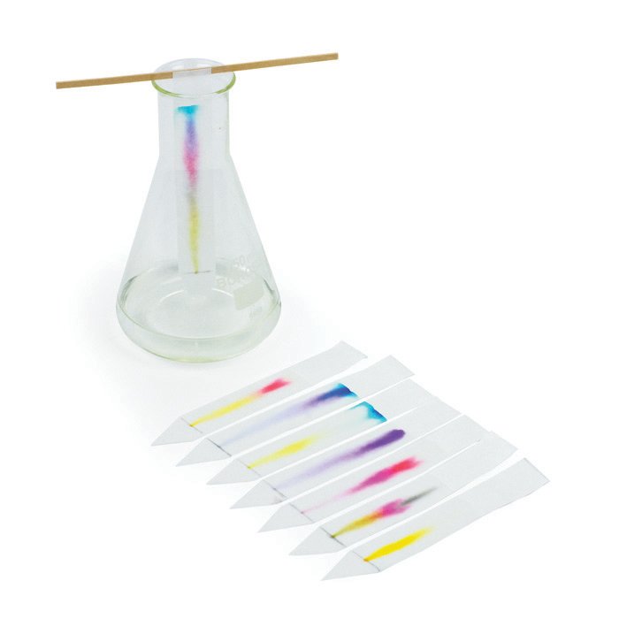 Paper Chromatography: The Art & Science of Color - Yellow Springs Toy  Company