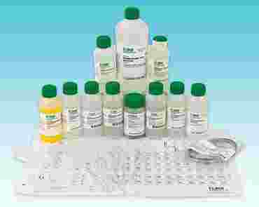 Periodic Table Basics Chemistry Laboratory Kit