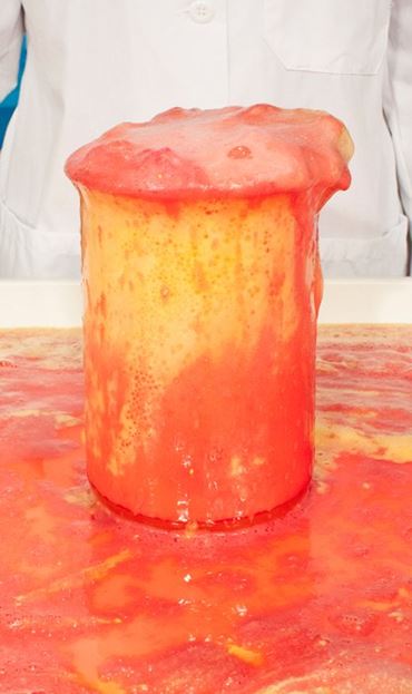 indicator, solution, neutralization