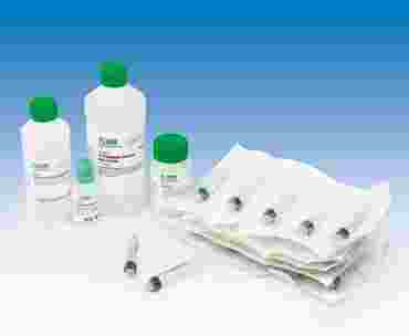 Factors Affecting Reaction Rates Kinetics Laboratory Kit