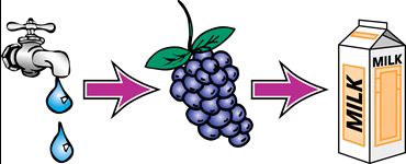 chemical demonstration, chemicals, chemical reactions