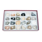 Rocks and Rock-Forming Mineral Collection for Geology and Earth Science