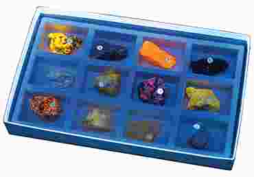 Fluorescent (Short and Long Wave) Mineral Collection for Geology and Earth Science