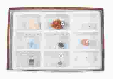 Crystal Mineral Collection for Geology and Earth Science