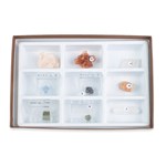 Crystal Mineral Collection for Geology and Earth Science