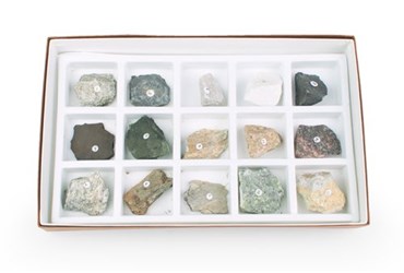 Metamorphic Rock Collection for Geology and Earth Science