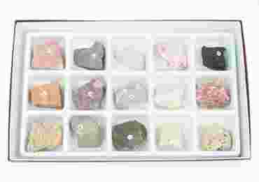 Sedimentary Rock Collection for Geology and Earth Science