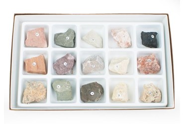 Sedimentary Rock Collection for Geology and Earth Science