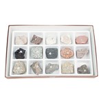 Introductory Rock Collection for Geology and Earth Science
