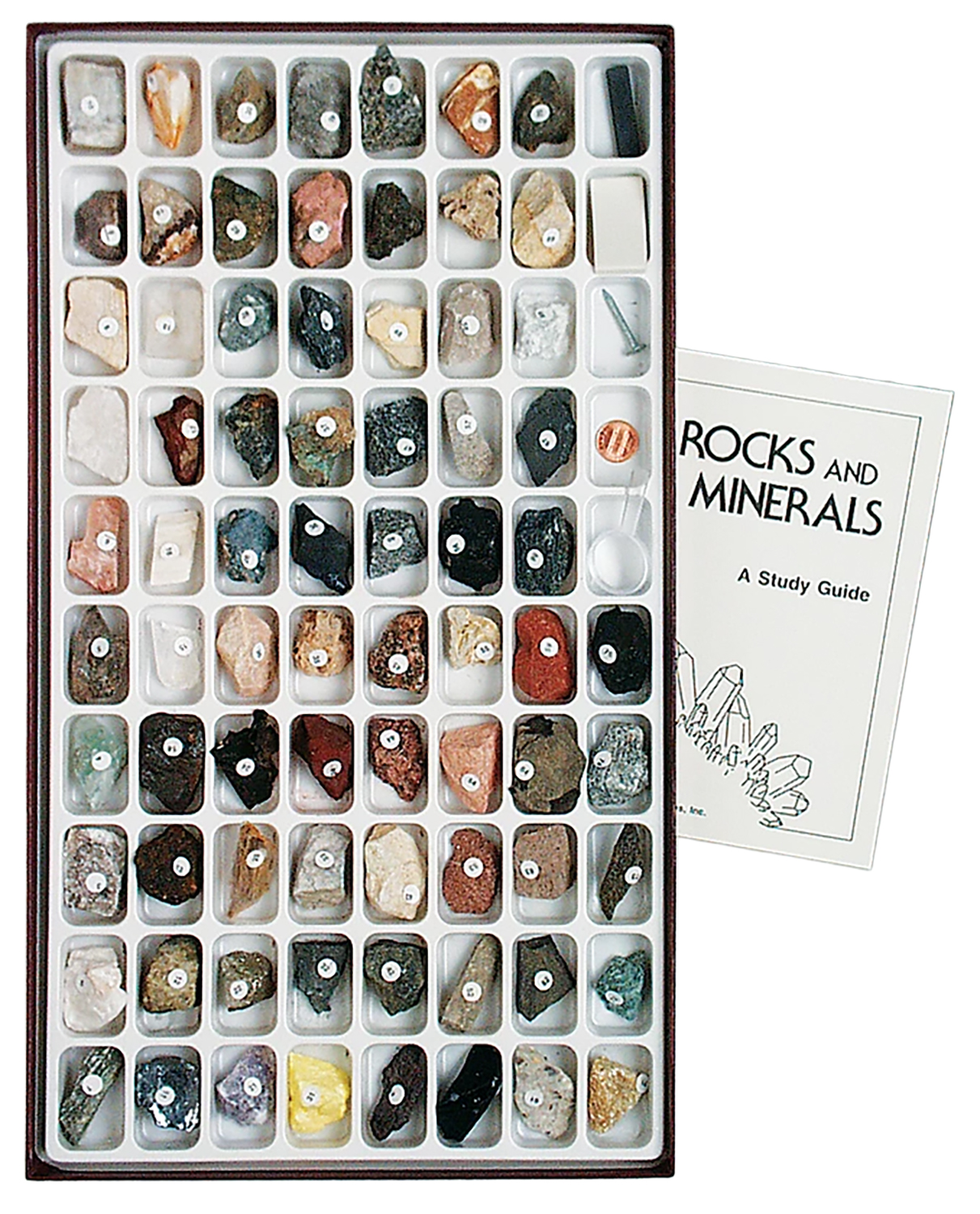 Introductory Rock and Mineral Collection for Geology and Earth Science