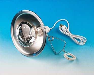 Infrared Lamp and Reflector