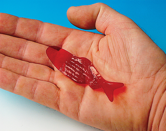 Fortune Teller Fish