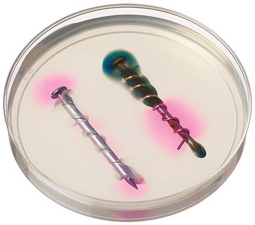 Corrosion of Iron Oxidation and Reduction Laboratory Kit