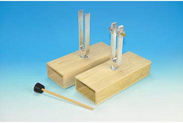 Sympathetic and Differential Tuning Fork Set