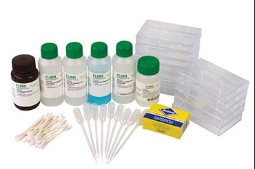 Kinetics of a Reaction Classic Lab Kit for AP® Chemistry