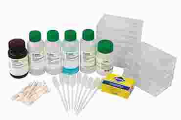 Kinetics of a Reaction Classic Lab Kit for AP® Chemistry