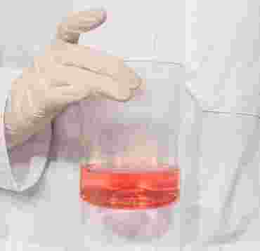 Vanishing Valentine Chemical Demonstration Kit