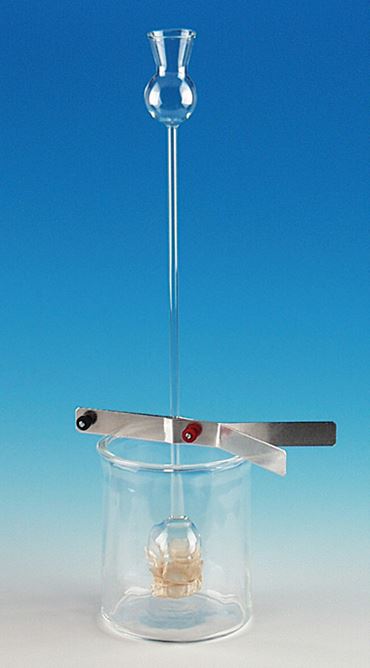 Double Thistle Tube, Osmosis Apparatus