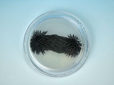 Magnetic Field Demonstrator