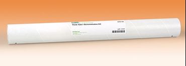 model, demonstration, hypothesis