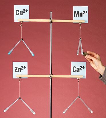 Paramagnetic Metal Ions Chemical Demonstration Kit