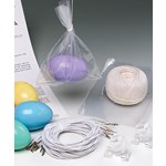 The Bungee Jumping Egg Physical Science and Physics Laboratory Kit