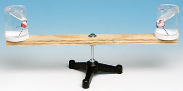 Circular Motion Paradox Physical Science and Physics Demonstration Kit