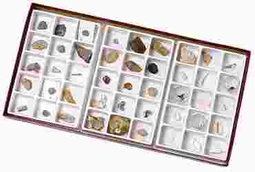 Stratigraphic Fossil Collection for Geology