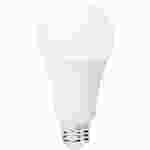 Clear Lamp Bulbs 150 W