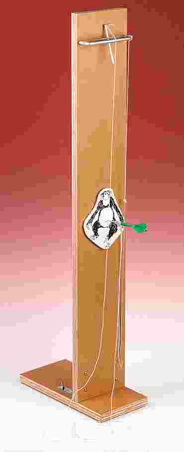 Shoot the Monkey Physical Science and Physics Demonstration Kit