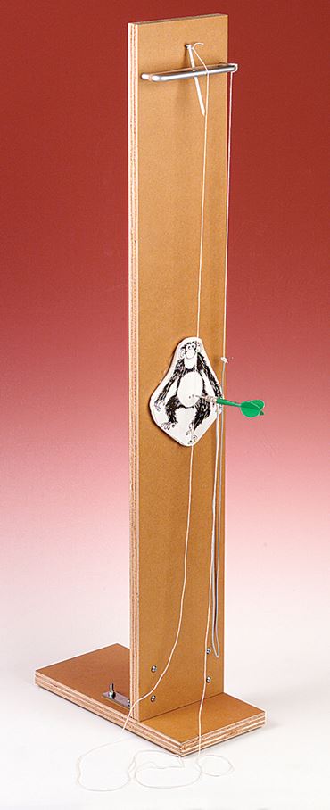 Shoot the Monkey Physical Science and Physics Demonstration Kit