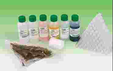 air quality, environmental quality, air pollution, environmental pollution
