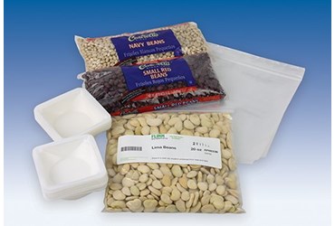 Bean Bag Isotopes Activity Kit for Physical Science and Chemistry