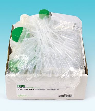 oil, water, opposities