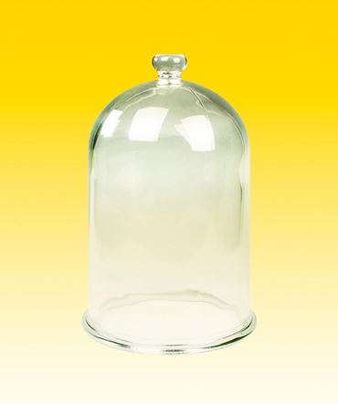 Glass Bell Jar Vacuum Chamber with Molded Glass Knob 13 L