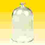 Glass Bell Jar Vacuum Chamber with Molded Glass Knob 13 L