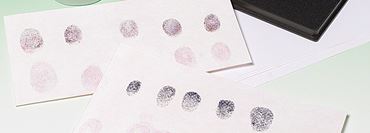 Amino Acid Fingerprints Forensics Chemical Demonstration Kit