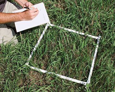 Sampling Square | Flinn Scientific