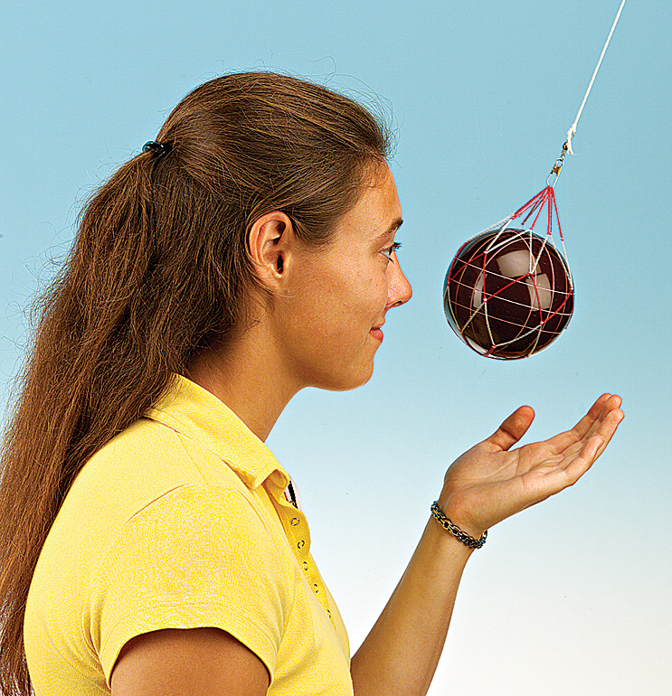 Bowling Ball Pendulum—Demonstration Kit Flinn Scientific