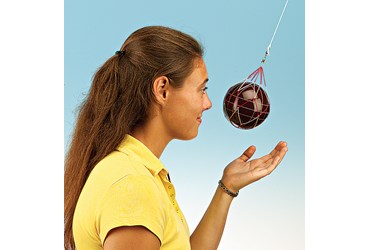 Bowling Ball Pendulum Physical Science and Physics Demonstration Kit