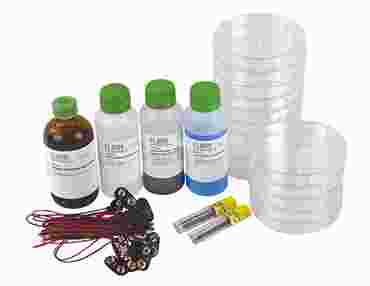 Producing Metals with Electricity Electrochemistry Laboratory Kit
