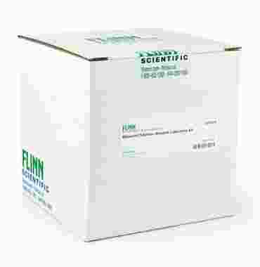 light-activated reactions, ultraviolet light, uv light, uv radiation, sunlight