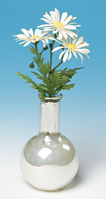 The Silver Mirror Award Oxidation-Reduction Chemical Demonstration Kit