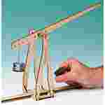 Trebuchet Demonstration for Physical Science and Physics