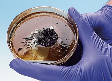 Ferrofluid Nanotechnology Chemistry Demonstration Kit
