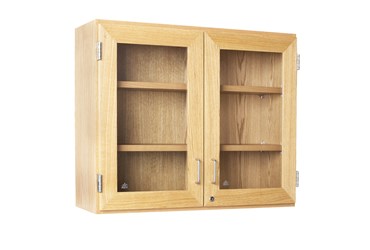 Wall Mounted Storage Cabinet for Science Lab and Classroom, 36"