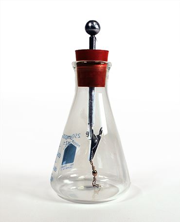 Flask Form Electroscope