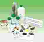 Formation and Identification of Minerals Geology Laboratory Kit for Earth Science