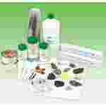 Formation and Identification of Minerals Geology Laboratory Kit for Earth Science